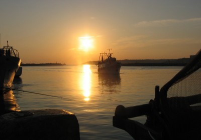 Ritorno in porto.jpg