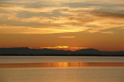 22 dic 2008 alba 195 (Large).jpg