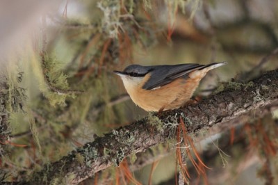 Una foto per Silvia.JPG