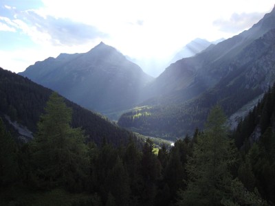 dedicata a Silvia.JPG (156.86 KiB) Osservato 1893 volte dedicata a Silvia.JPG