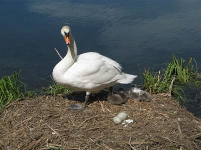 IMG_0162 (Small).JPG