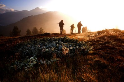 x Silvia in cammino verso la Luce.jpg