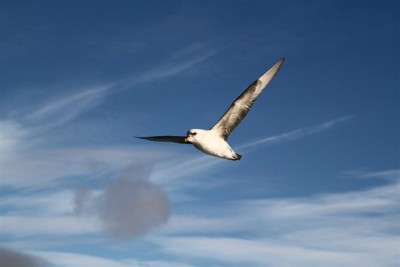 IMG_3175 (Custom).JPG