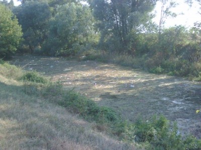 _Memoria del dispositivo_home_user_pictures_IMG01169.jpg