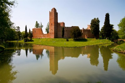 000-IMG_8173-1 (Medium).jpg