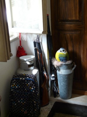 rapina.jpg (182.7 KiB) Osservato 2435 volte rapina.jpg