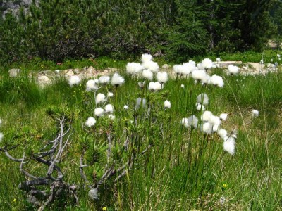 IMG_1429 (Small).JPG