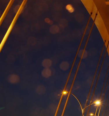 IMG_1363 (Large)-1.jpg