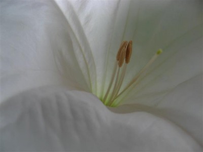 IMG_1652 (Small).JPG