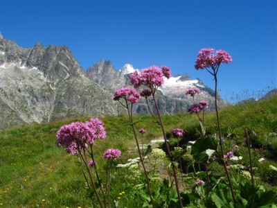 IMG_2085 (Small).JPG