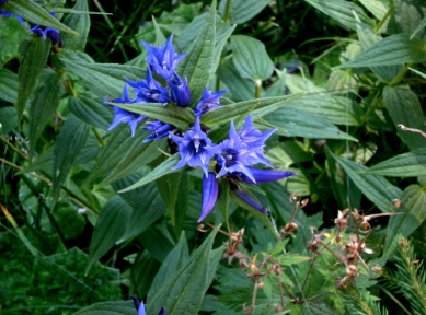 Schermata 08-2456169 alle 14.13.16.png