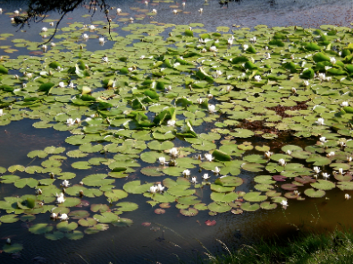 Schermata 08-2456169 alle 14.16.45.png