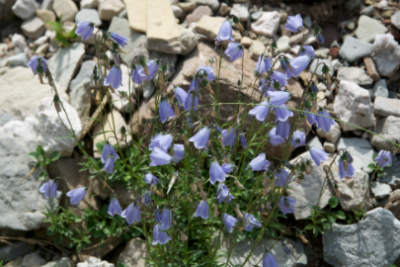 Schermata 08-2456169 alle 14.18.15.png