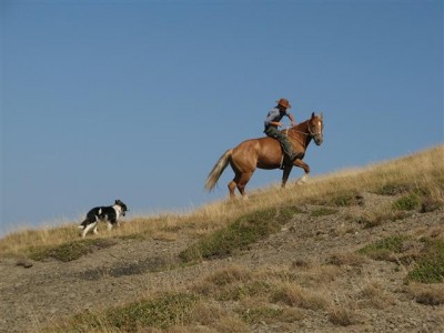 IMG_3063 (Small).JPG