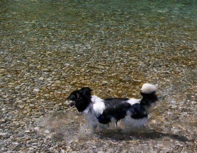 104_2585 (2) copia.jpg