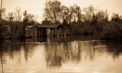 massaciuccoli 004.jpg