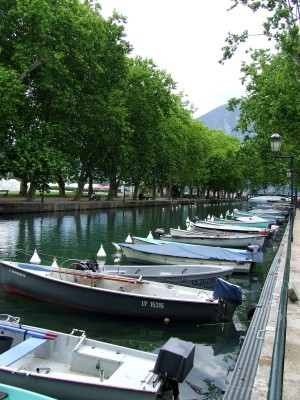 DSCF2340 (2) copia.jpg