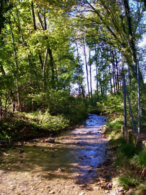 107_1084 (2) copia.jpg