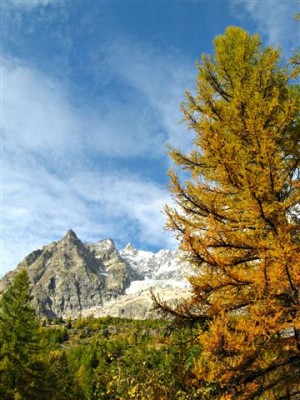 IMG_5144b (Small).jpg