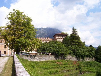 100_0288 copia.jpg (193.22 KiB) Osservato 31368 volte 100_0288 copia.jpg