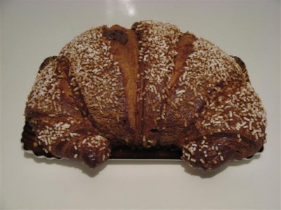 IMG_7917 (Small).JPG