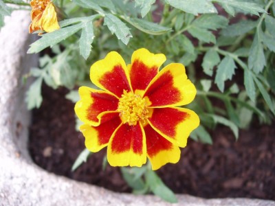 P5230769 - compr.JPG