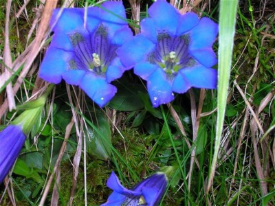 DSCN3542 (Custom) (Custom) (Custom).JPG