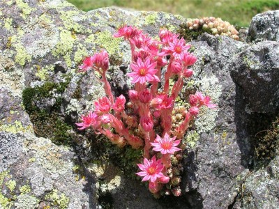 DSCN2600 (Custom) (Custom).JPG