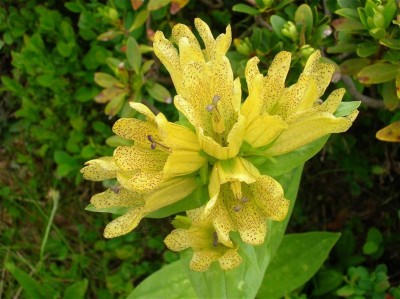 DSCN2472 (Custom) (Custom) (Custom).JPG