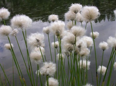 DSCN2481 (Custom) (Custom).JPG