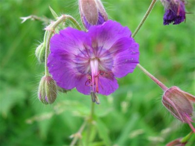 DSCN2319 (Custom) (Custom) (Custom) (Custom).JPG