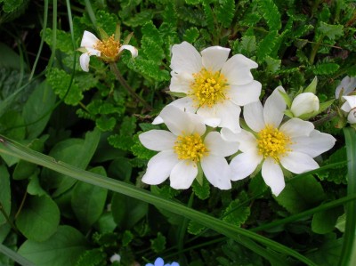 DSCN5206 (Custom) (Custom).JPG