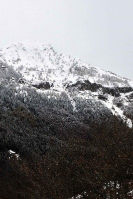 copia per prova copia.jpg