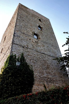 174836-533x800 elab.jpg