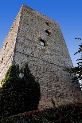 174836-533x800 elab 2.jpg