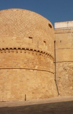 torre-crop.jpg