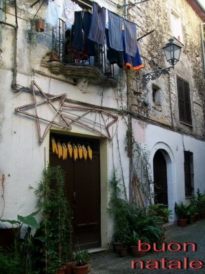 Copia di 100_2894.jpg