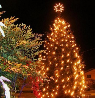 albero natale2009 008.JPG