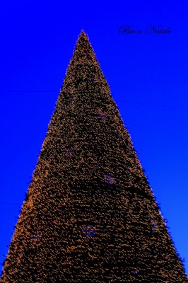 buon natale DSCN1497.JPG