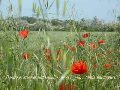 Auguri Danilo.jpg
