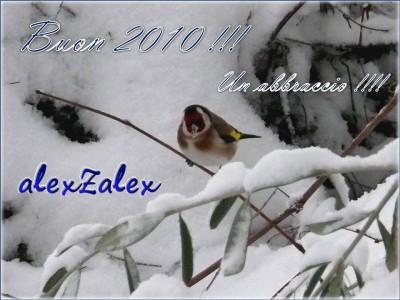 2010-01-01 - Buon 2010-1.jpg