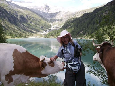 la muccaaaaaaaaaaaaa web.jpg