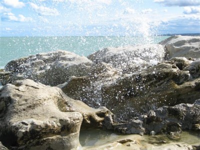 IMG_3218 (Small).jpg