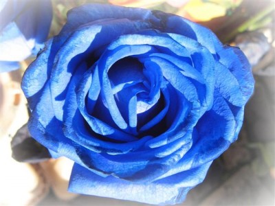 IMG_3854 b (Small).jpg