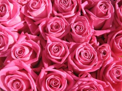 IMG_3852 (Small).jpg