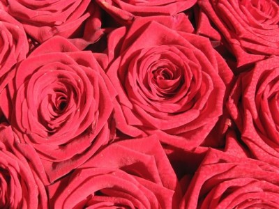 IMG_3853 (Small).jpg