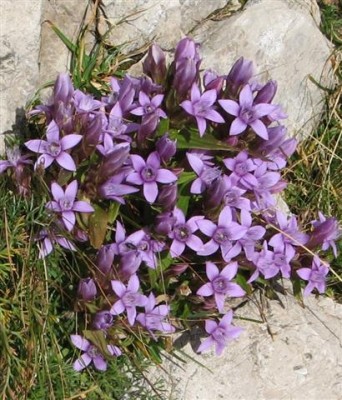 IMG_3107 bis (Small).jpg