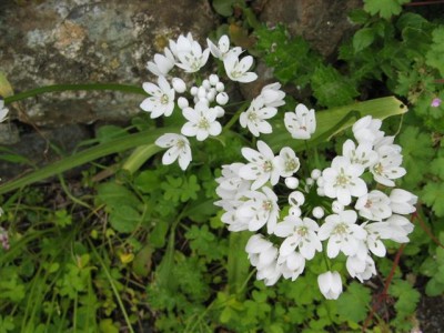 IMG_5326 (Small).jpg