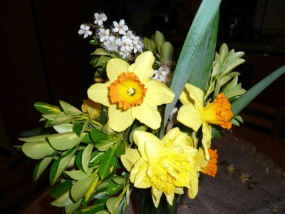 Fiori di primavera.jpg