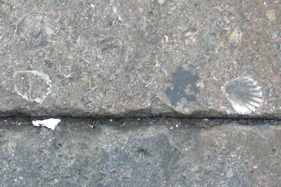 Volterra 2008 01 01 (36).JPG